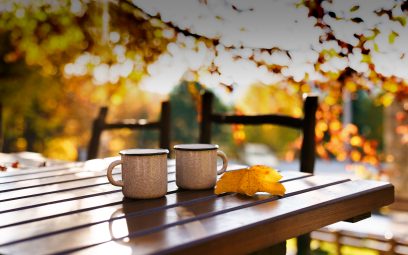 CET AUTOMNE, ELLE FICTIONS RÉCHAUFFE LES CŒURS AVEC DES FILMS QUI FONT DU BIEN